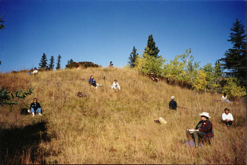 Receiving from the Forest